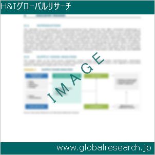 グローバルリサーチ調査レポートのイメージ